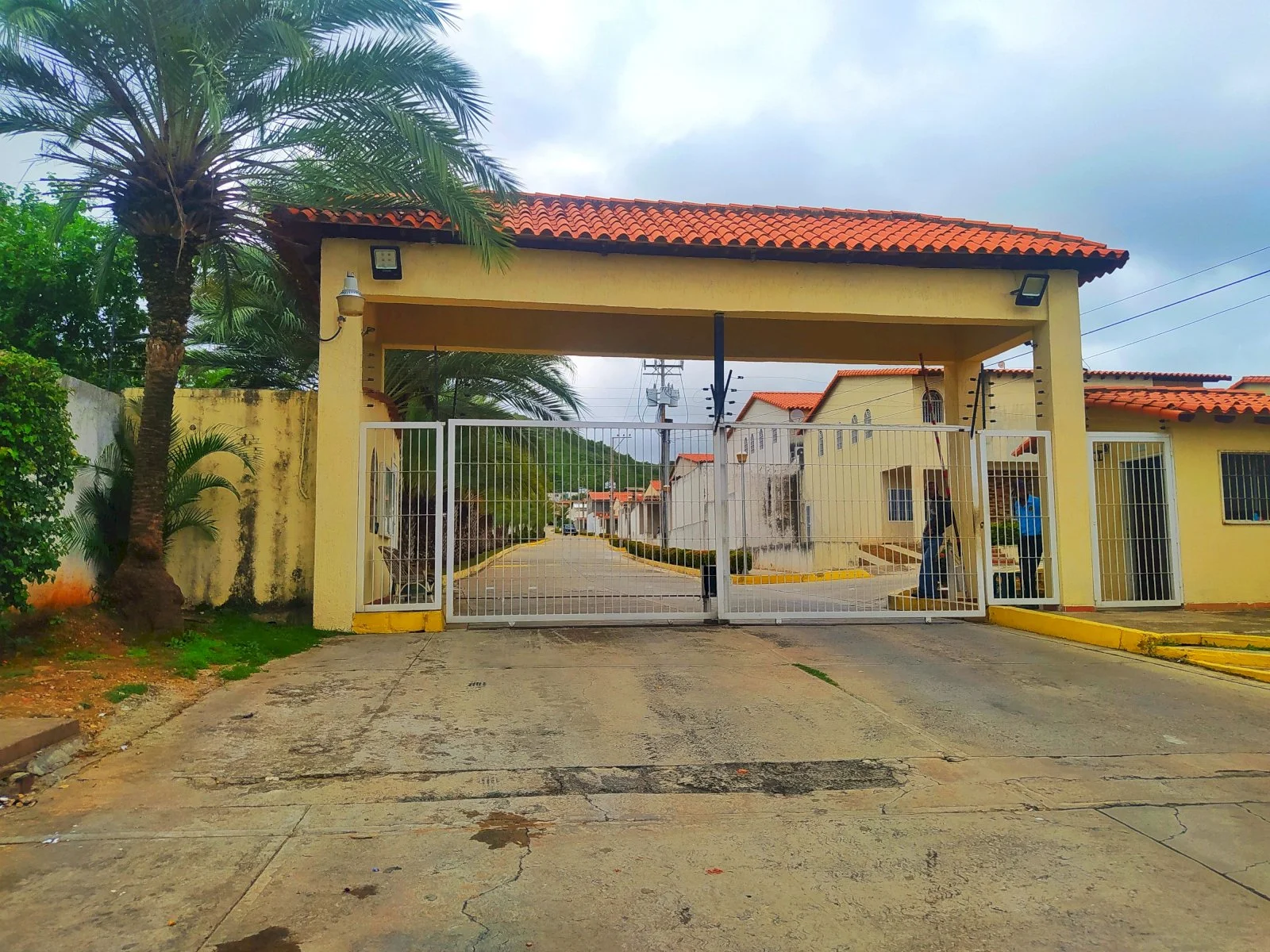 Imagen de TH  en el MANANTIAL DE LOS ROBLES, MANEIRO, ISLA DE MARGARITA