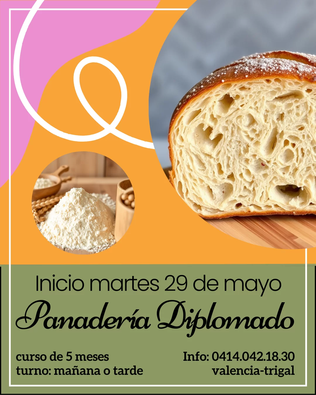 Imagen de Cursos