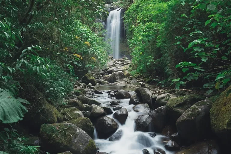 Imagen de The Lost Waterfalls — Las Tres Cascadas, Boquete, Chiriquí