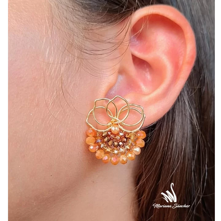 Imagen de Aretes 