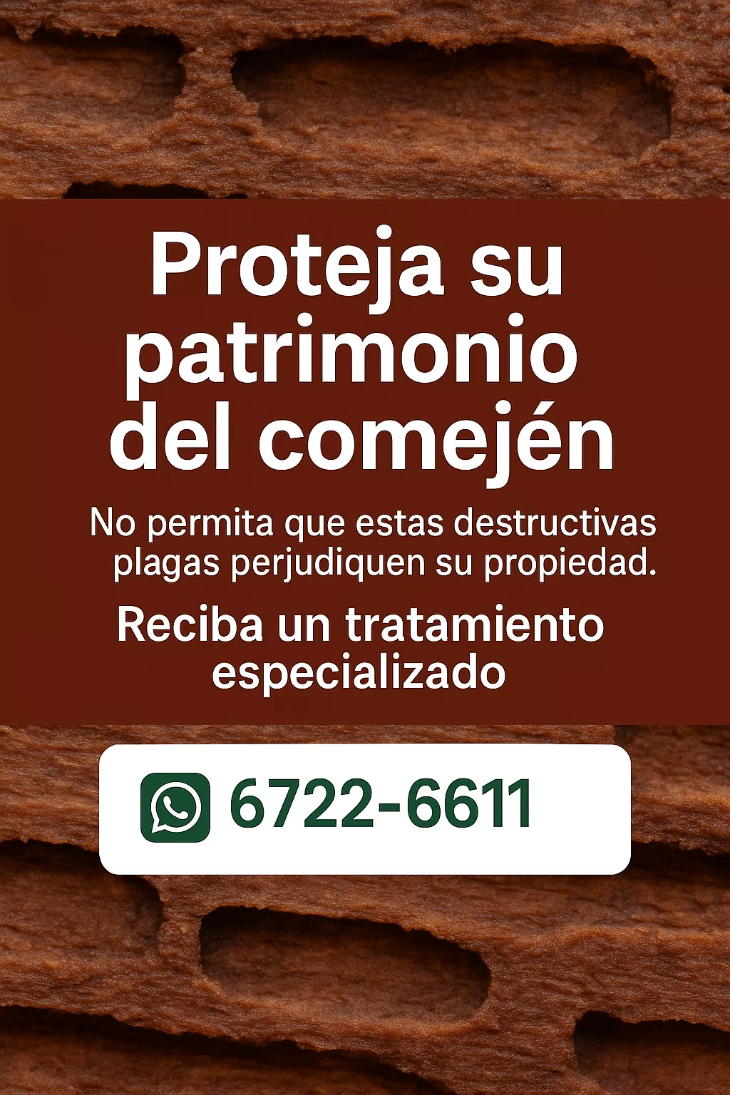 Imagen de Control de Comejen