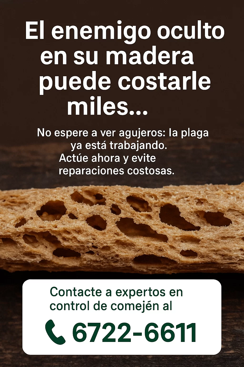 Imagen de Control de Comejen