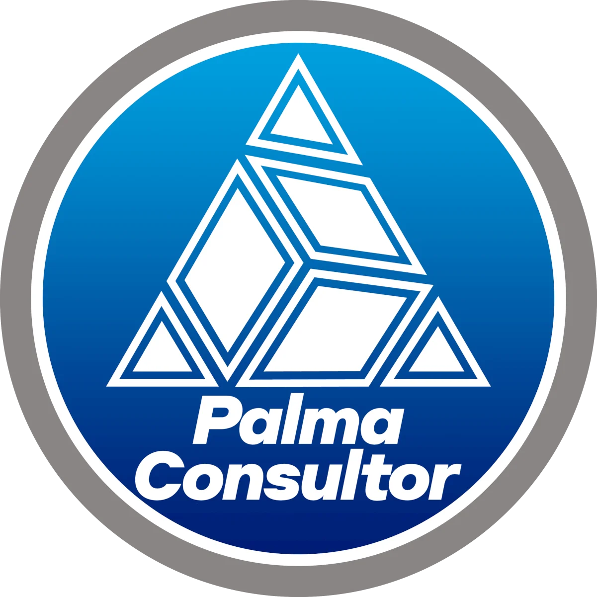 Logo Palma Consultor