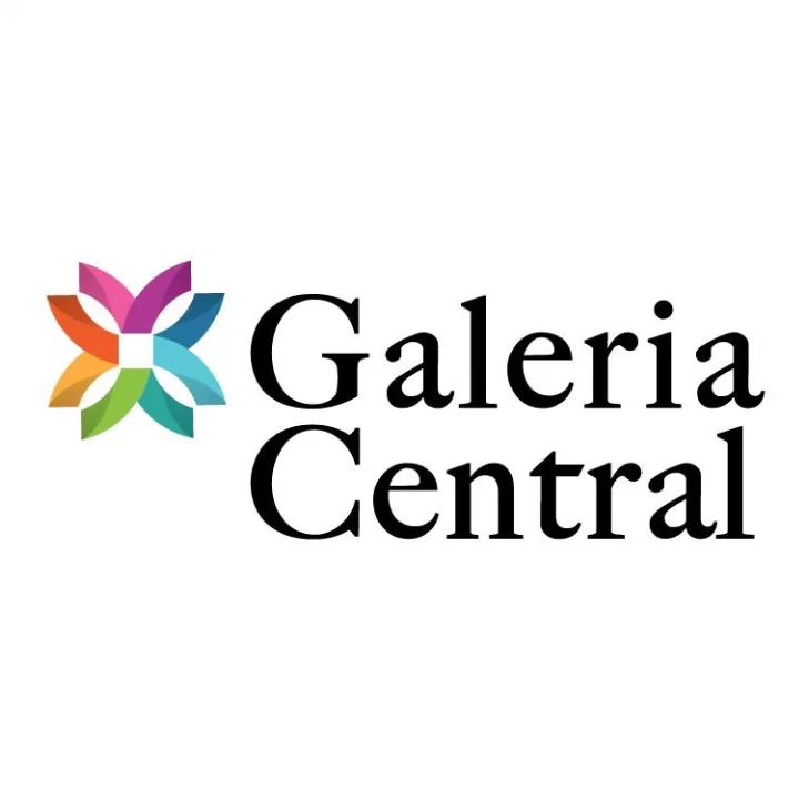 Logo de Galeria Central David