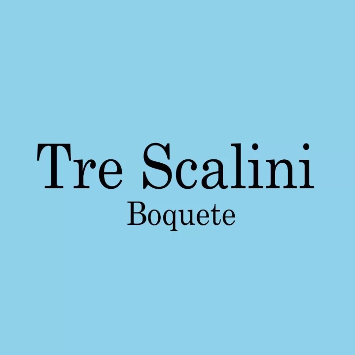 Logo Tre Scalini