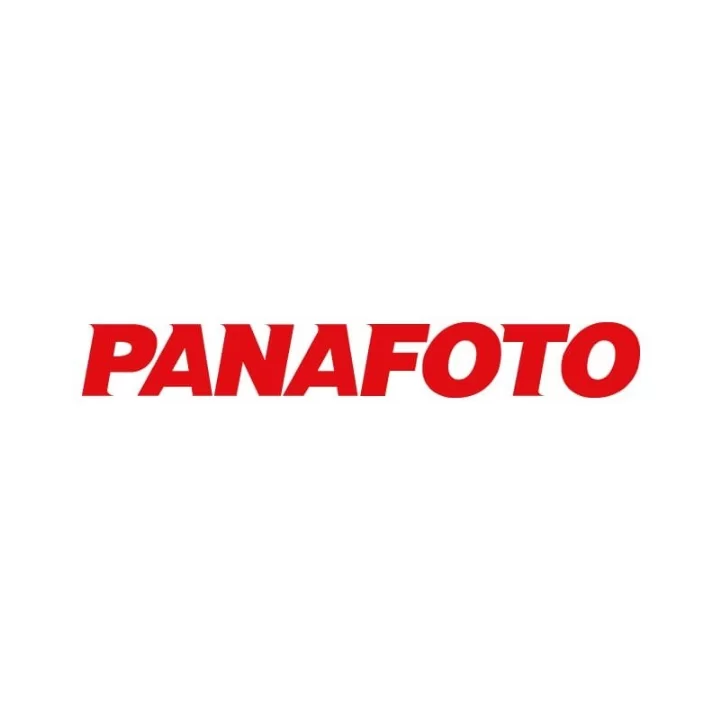 Logo de Panafoto David