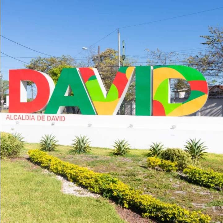 Logo David Chiriquí