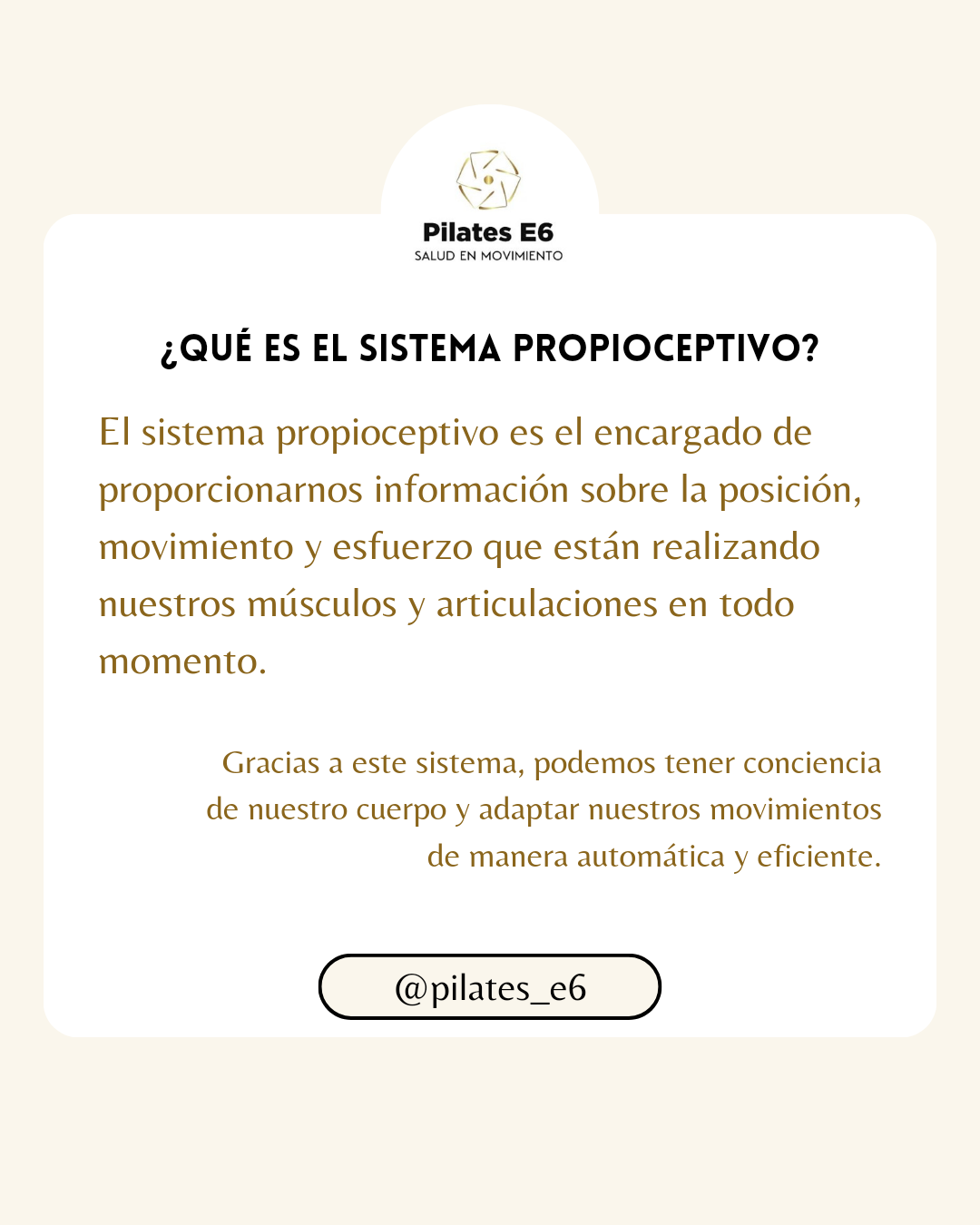 Fisioterapia en el Sistema Propioceptivo